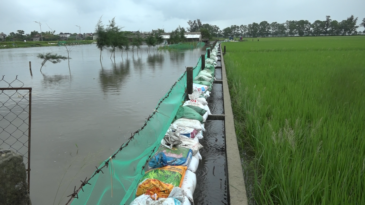 Tổng cục trưởng Tổng cục Phòng chống thiên tai kiểm tra và chỉ đạo ứng phó với mưa lũ trên địa bàn...